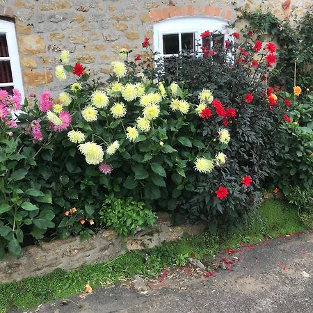 The Cottage Abbotsbury Luaran gambar