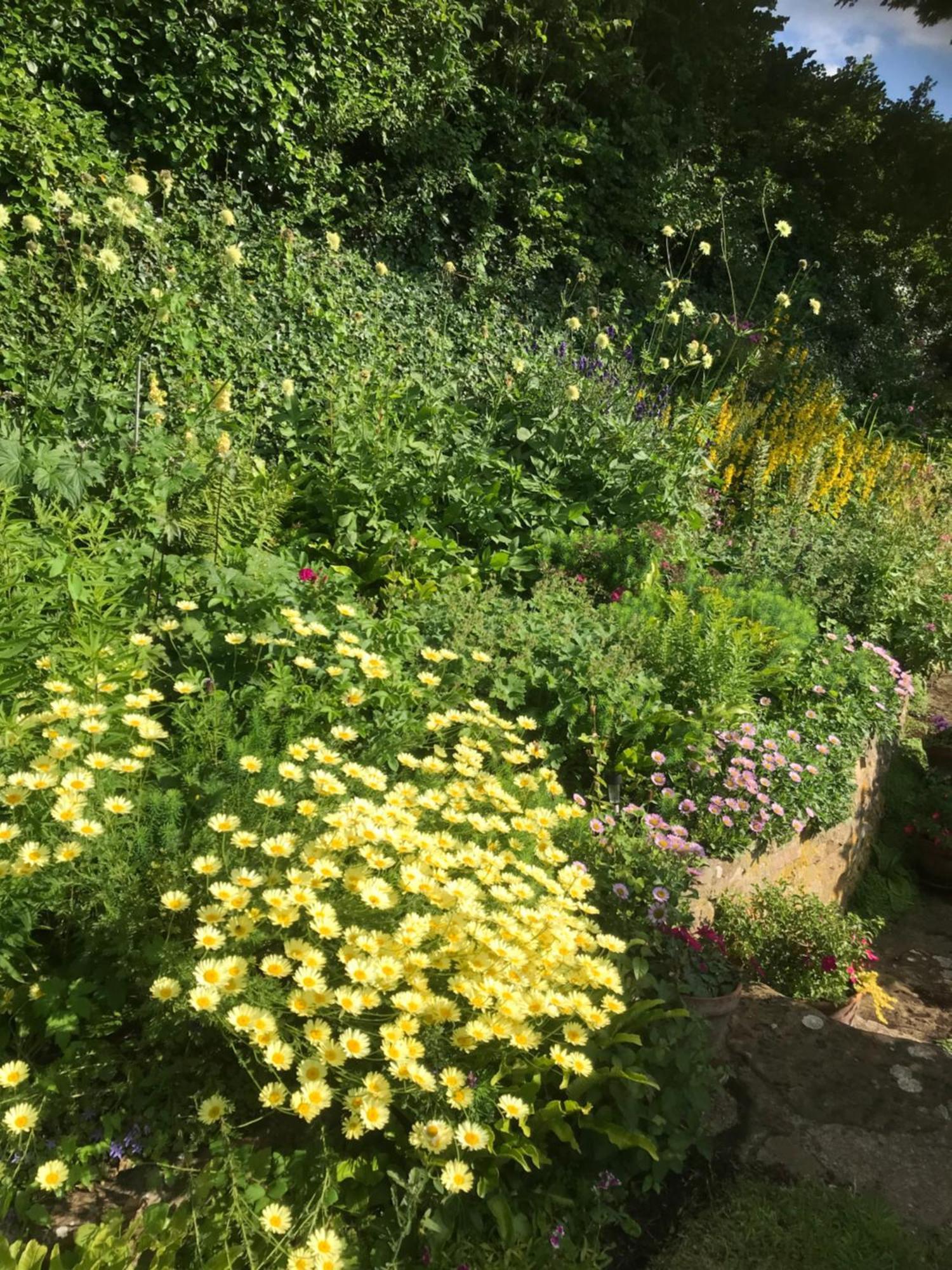 The Cottage Abbotsbury Luaran gambar