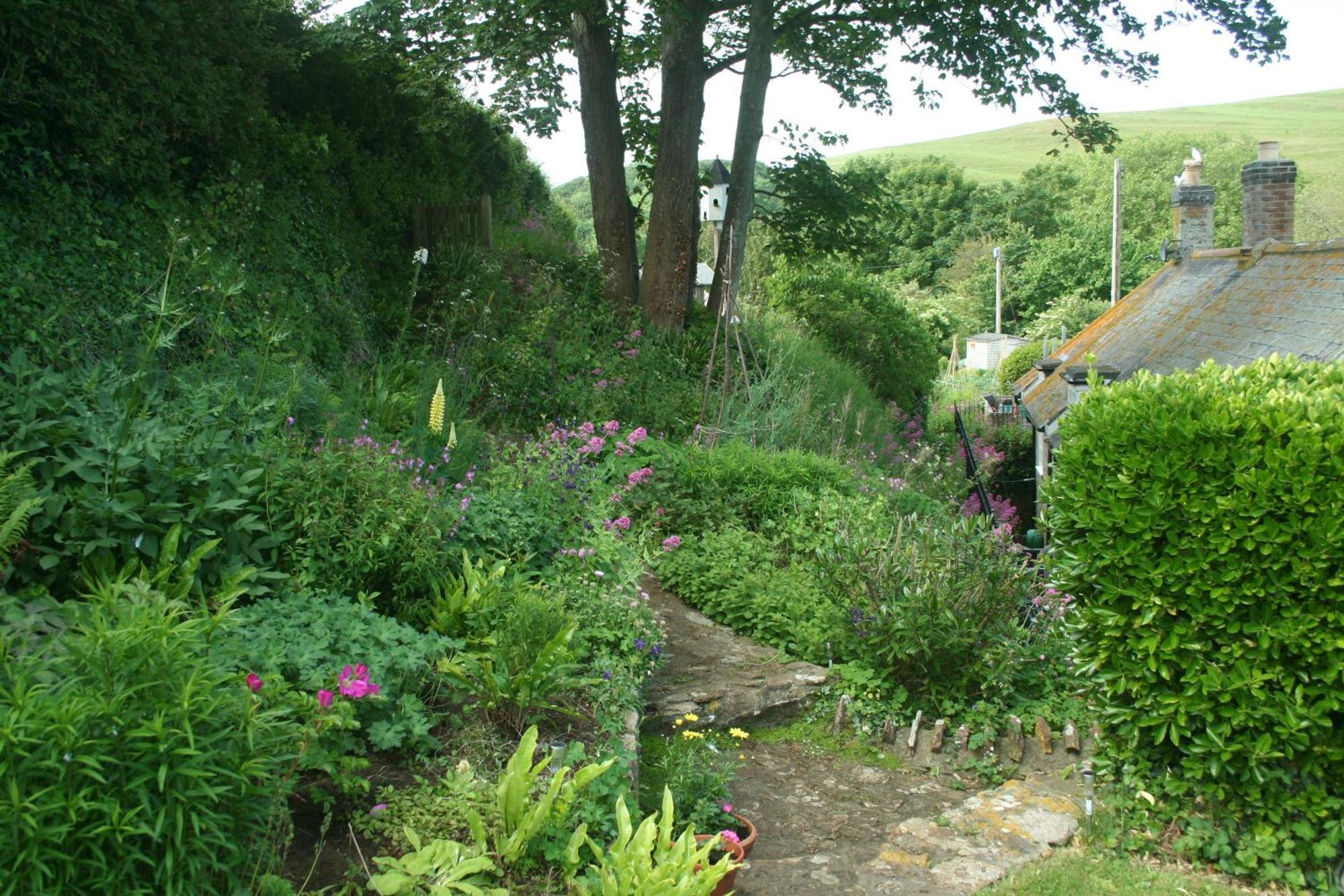 The Cottage Abbotsbury Luaran gambar