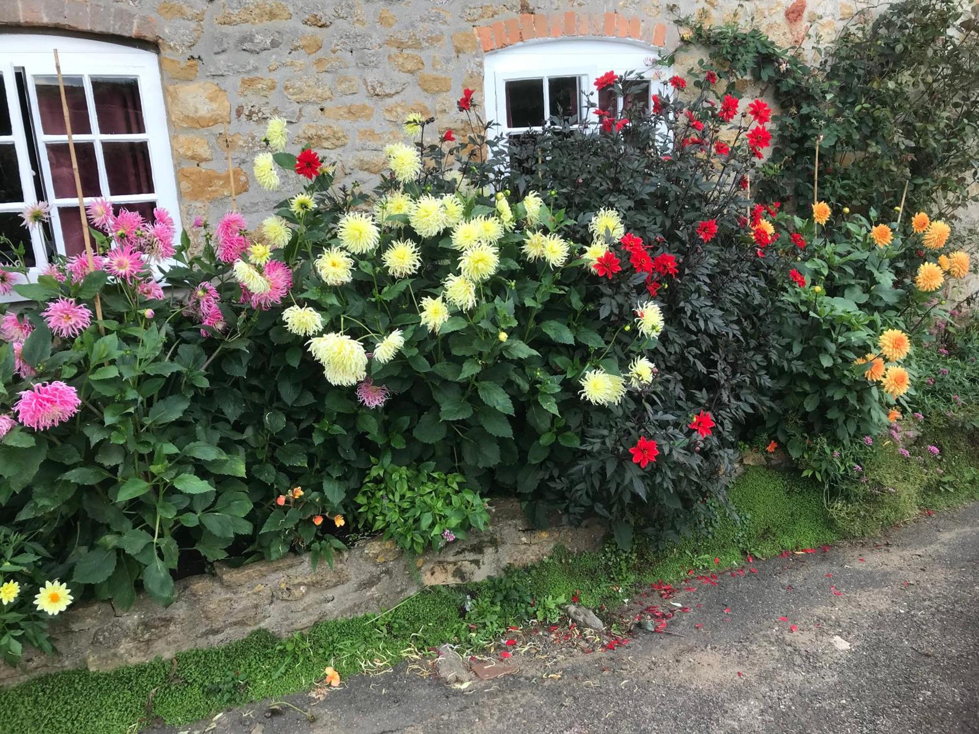 The Cottage Abbotsbury Luaran gambar