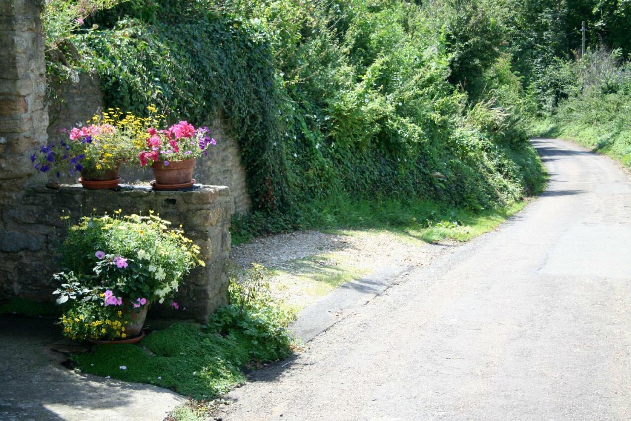 The Cottage Abbotsbury Luaran gambar